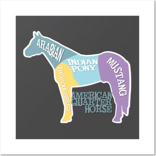 American Quarter Horse Diagram Arabian TB Mustang Indian Pony Posters and Art